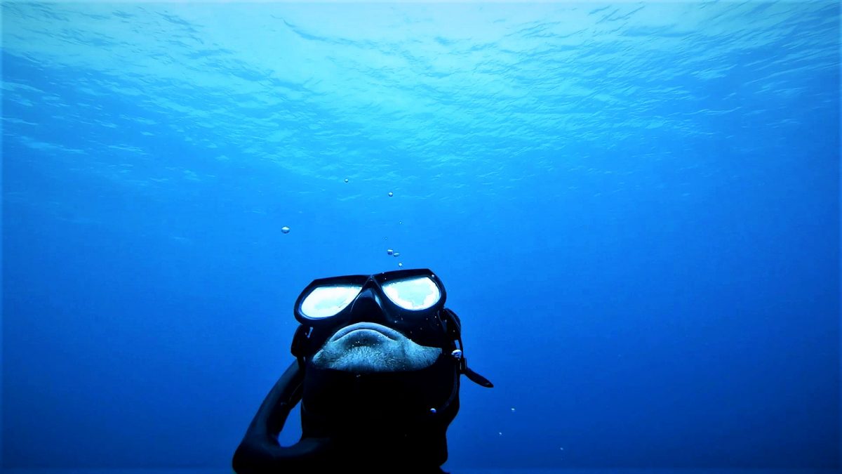 Learning to Hold my Breath, Freediving, Utila and Roatan