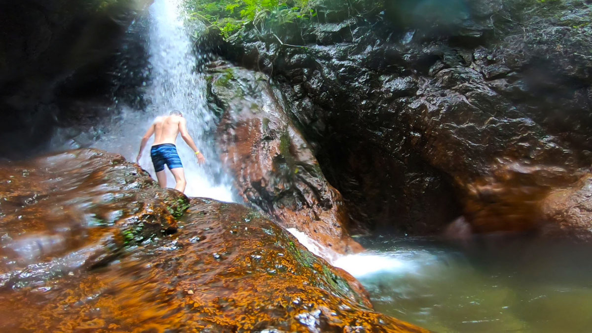 Waterfalls, Birds, and a Baby Turt at Lake Yojoa