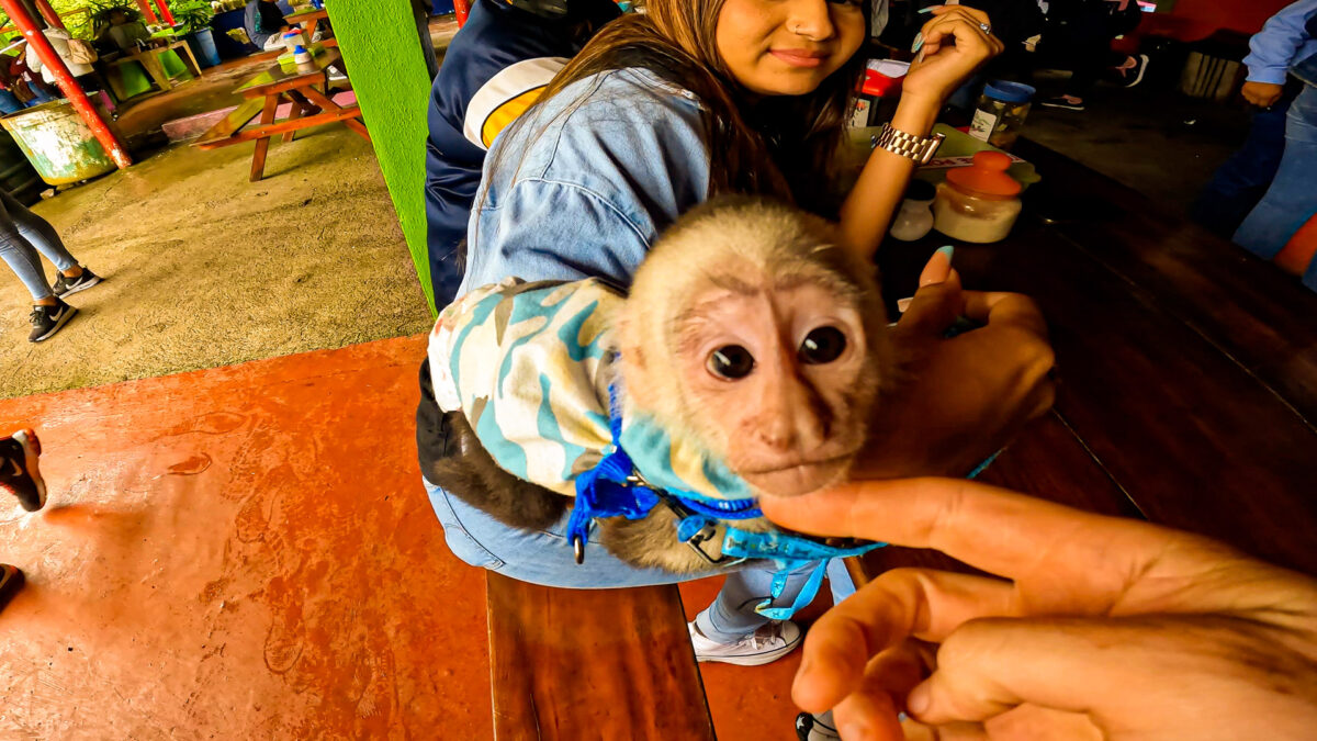 From Lago Apañas to Matagalpa, Encounter With a Pet Monkey – 20220807